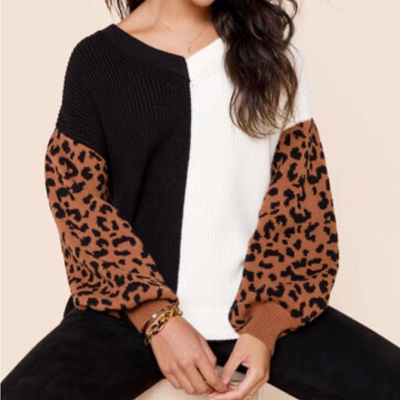 Sweaters - Animal Print Colorblock Pullover Sweater